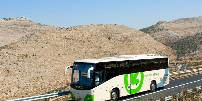 אפיקים